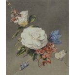 19th Century CAMELLIA, OTHER FLOWERS AND BUTTERFLIES Watercolour, unsigned, Christies catalogue