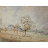 Edwin Fudge? LANDSCAPE, SHEEP WITHIN GROUNDS OF COUNTRY HOUSE Indistinctly-signed watercolour.