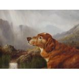 Charles Edward Brittan AN IRISH SETTER IN THE HIGHLANDS Oil on canvas, signed and titled and dated