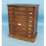 A pine collector's chest of eight shallow drawers, on plinth base, 46cm wide, 56cm high.