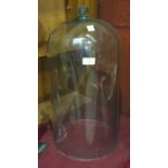 A tall glass bell jar, 56cm high.