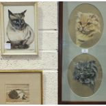 An unsigned study of two cats in watercolour and pastel, framed oval together, each 22 x 21cm, an