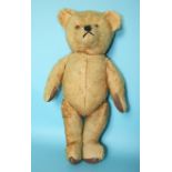 A post war gold plush teddy bear with vertically stitched nose, plastic eyes and Rexine paws,