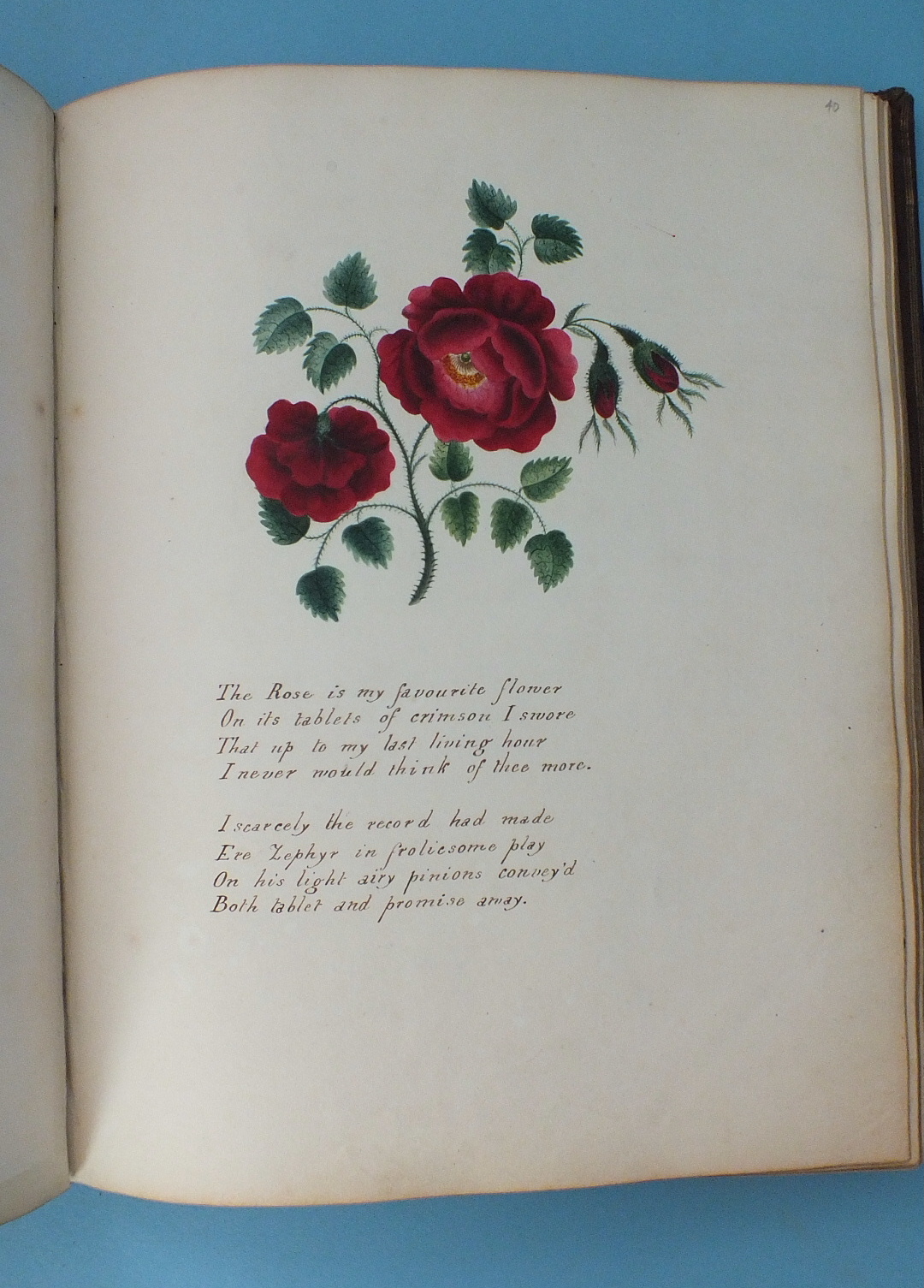 The Lewis Album 1811-1860, Susanna Lewis nee Potter, a 19th century album of watercolours, pencil - Image 9 of 16