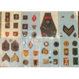 A collection of 144 mainly cloth badges, including division signs, rank badges, etc.