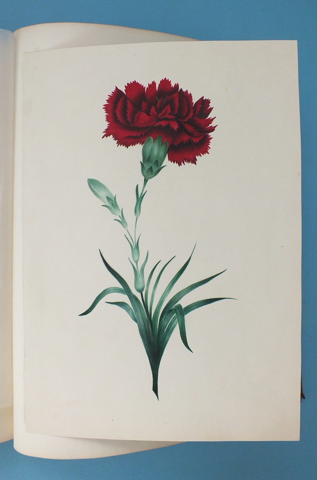 The Lewis Album 1811-1860, Susanna Lewis nee Potter, a 19th century album of watercolours, pencil - Bild 10 aus 16