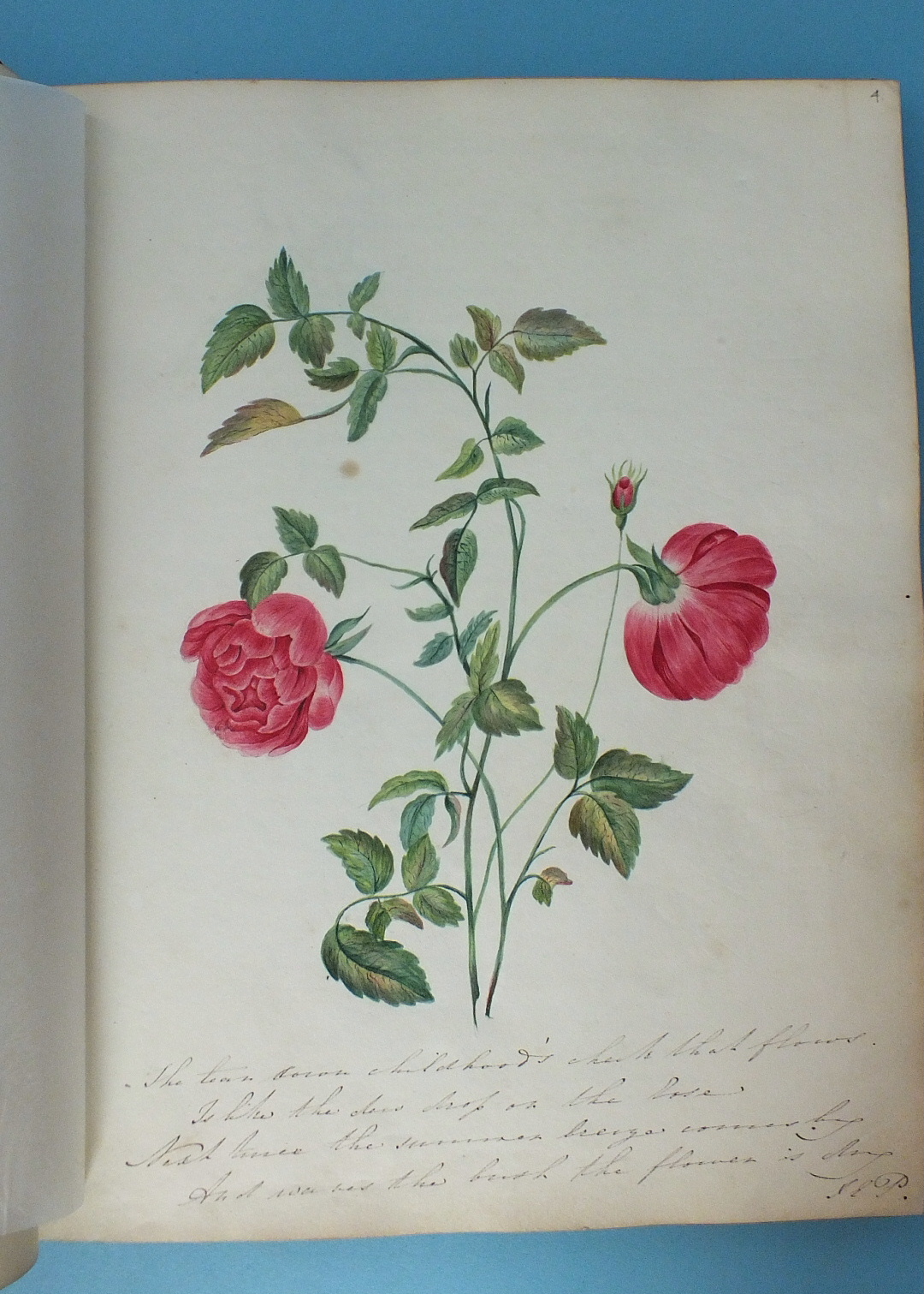 The Lewis Album 1811-1860, Susanna Lewis nee Potter, a 19th century album of watercolours, pencil - Image 4 of 16