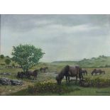 •DARTMOOR, PONIES GRAZING Signed oil on canvas, 59.5 x 80cm, titled Tavistock Group of Artists label