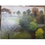 •A collection of fourteen unsigned and signed unframed landscape oil paintings on board, including
