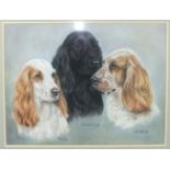 •Pauline Edwards "TEAL, SHOUTER, AMBER", PORTRAIT OF THREE COCKER SPANIELS Signed pastel, dated