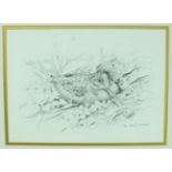 •Robin Armstrong (20th century) WOODCOCK Signed pencil drawing, 21 x 28cm and another PHEASANT, 19 x