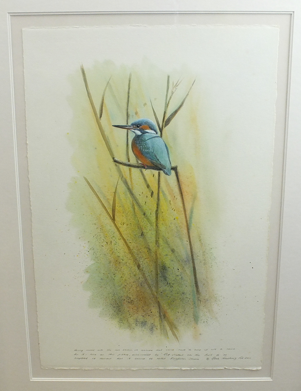 •Robin Armstrong (20th century) KINGFISHER AMONGST REEDS Signed watercolour, inscribed and dated