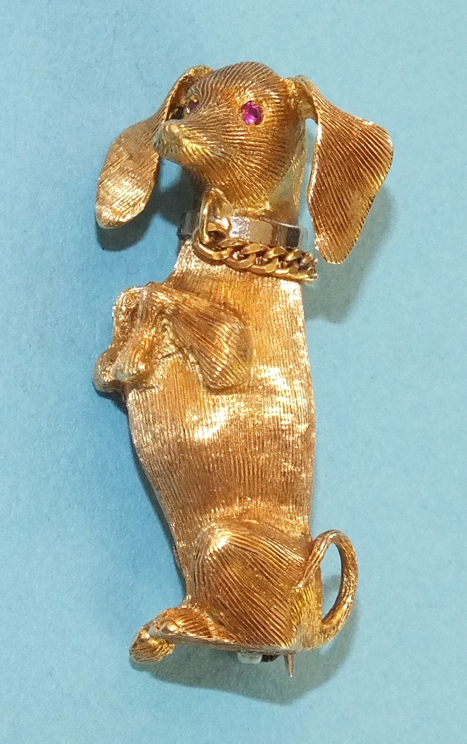 An 18ct yellow gold brooch in the form of a dachshund, begging, with ruby eyes, white gold collar