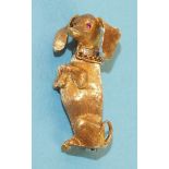 An 18ct yellow gold brooch in the form of a dachshund, begging, with ruby eyes, white gold collar