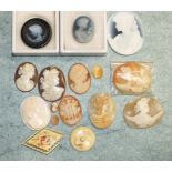 Eleven 19th century and later shell cameos, three modern glass cameos and other items.