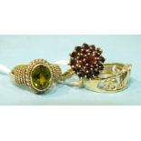 A 9ct gold ring incised with an elephant design, size M, 3.3g, a garnet cluster ring and another