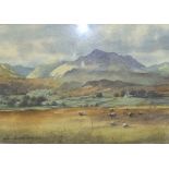 E Charles Simpson, 'Sheep in a landscape', signed watercolour, 28 x 39.5cm.