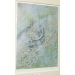 After Robin Armstrong, 'Salmon in spawning colours, River Lyd 23-10-86', a signed limited edition