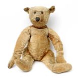 Wohl STEIFF früher Teddybär, Anfang 20. Jh., schwarze Knopfaugen, spitze Schnauze, blondes Fell.