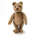 STEIFF Teddybär, Mitte 20. Jh., Knopf, Fahne (nicht mehr lesbar), heller Mohair, gegliedert,