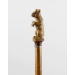 A Victorian carved wooden walking stick, the handle modelled as a dog, with inset glass eyes,