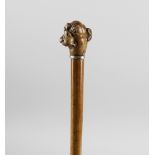 A 19th century walking cane, the carved wooden handle modelled as the head of a dog, with inset