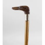 A late 19th century walking cane, the carved wooden handle modelled as the head of a greyhound, upon