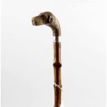 A carved wooden walking cane, the handle modelled as the head of a dog with inset glass eyes and