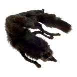 A fox fur shawl and boxed evening bag. Featuring a sliver fox fur stole with a clip fastening and