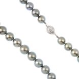 A cultured pearl single-strand necklace. Comprising a strand of thirty-one grey cultured pearls,