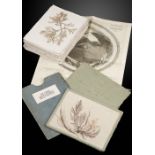 An interesting folio of pressed seaweed specimens attributable to the notable Victorian figure