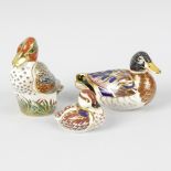 Four items of Royal Crown Derby porcelain. Comprising: three birds - a Green Winged Teal, a Mallard,