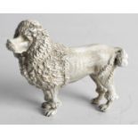 A cold painted bronze modelled as a Poodle standing with raised head looking slightly left (