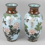 A pair of cloisonné vases, of ovoid form with flared neck, the light blue ground decorated with
