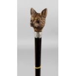 A late 19th century walking cane, the Black Forest carved wooden handle modelled as the head of a