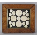 A collection of nineteen cast plaster cameo portrait medallions within a maple veneered glazed