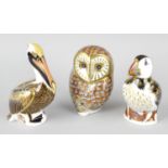 Four Royal Crown Derby porcelain birds. Comprising Barn Owl, Green Winged Teal (Collector's Club