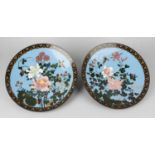 A pair of cloisonné dishes, the light blue ground decorated with birds amongst blossoming flowers,
