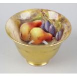 An unusual Royal Worcester porcelain fruit-painted tea bowl, of slightly flared form raised upon