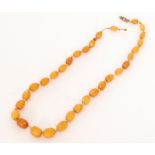 A single row of graduated amber beads,