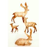 A Beswick Deer family comprising a Lying Stag model 954, a Standing Stag model 981,