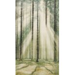 OLEG NAGREBELNY (RUSSIAN SCHOOL, 20TH CENTURY) - A sunlit forest, watercolour, signed and dated '98,