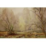 TOM CAMPBELL (1865-1943) - Sheep in a woodland glade, gouache, signed, framed,