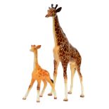A Beswick Giraffe model 1631 S/D and a smaller Giraffe model 853 (2)