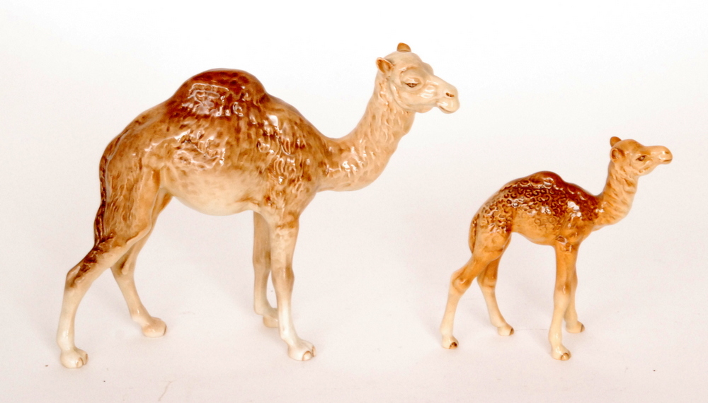 A Beswick Camel model 1044 and a Camel foal model 1043,
