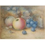 A framed Fallen Fruits watercolour by Royal Worcester artist R.