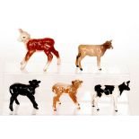 Five assorted Beswick calf to include a Friesian Calf model 1249C,