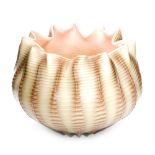 A late 19th Century Stevens & Williams Sea Shell ware bowl, pattern number 12125,