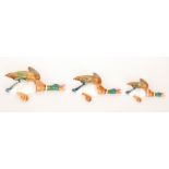 A set of three graduated Beswick Mallard flying duck wall plaques, models 596-2, 596-3 and 596-4,