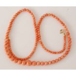 A single strand of graduated coral beads with 18ct bolt ring clasp, length 52.